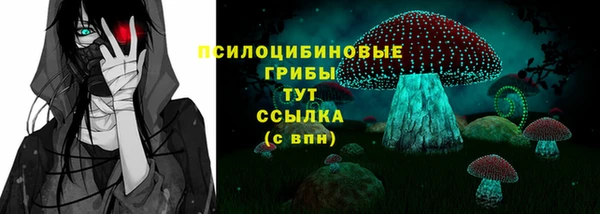 не бодяженный Снежинск