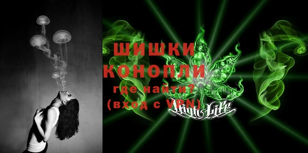 прущие грибы Белоозёрский