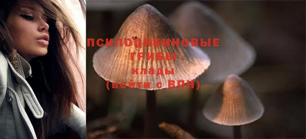 прущие грибы Белоозёрский