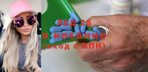 прущие грибы Белоозёрский