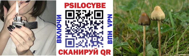 наркотики  Шахунья  Галлюциногенные грибы Magic Shrooms 